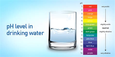 safe ph for bottled water